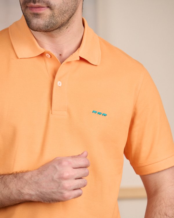 Polo Collin orange