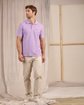 Polo Collin violet